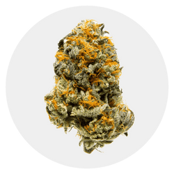 Cannabis Flower for Sale