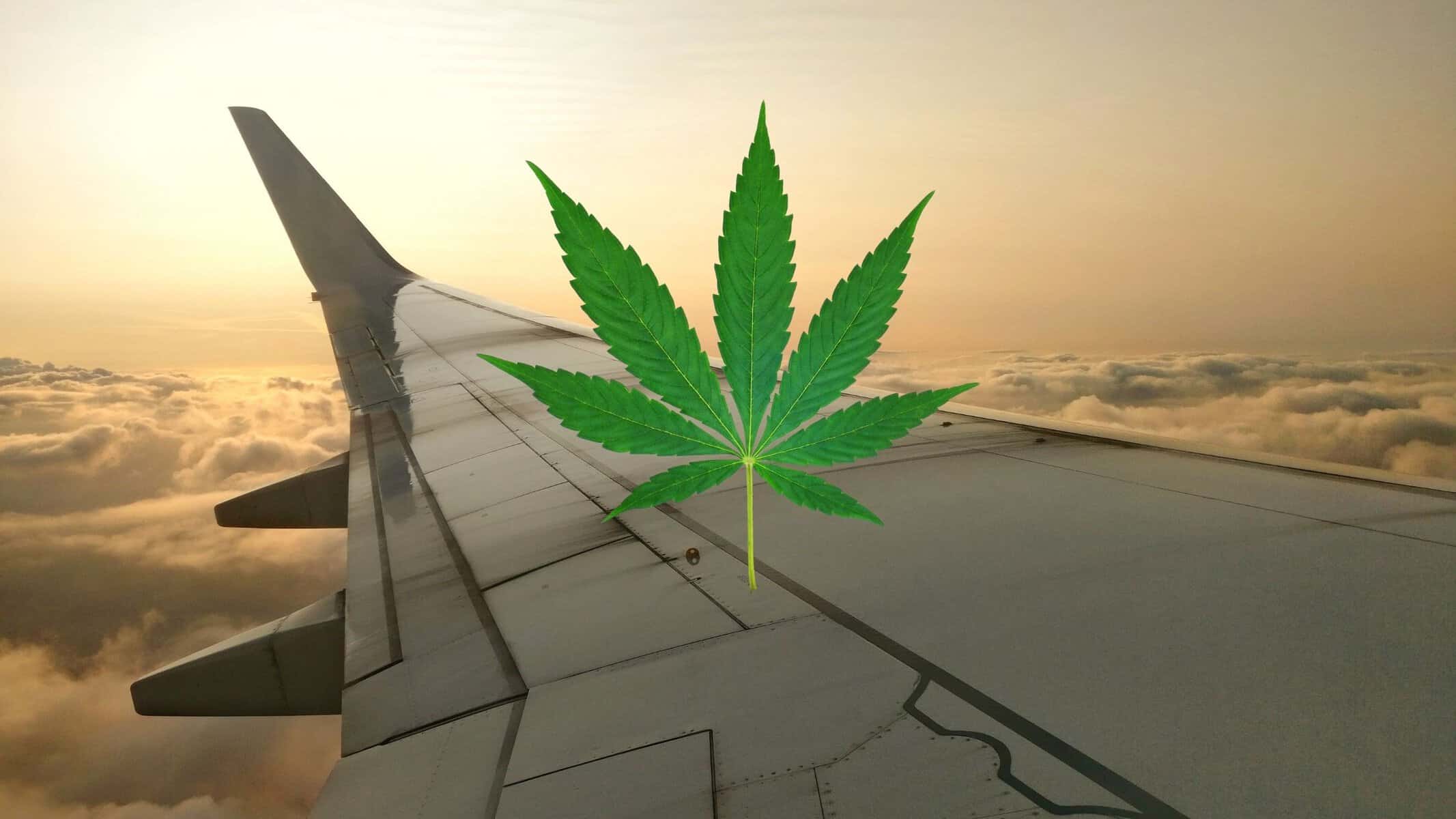 Traveling with CBD: What’s Legal in 2025?