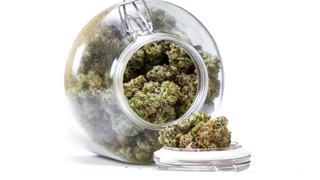 CBD Strain Review: Lifter - Chronic Guru