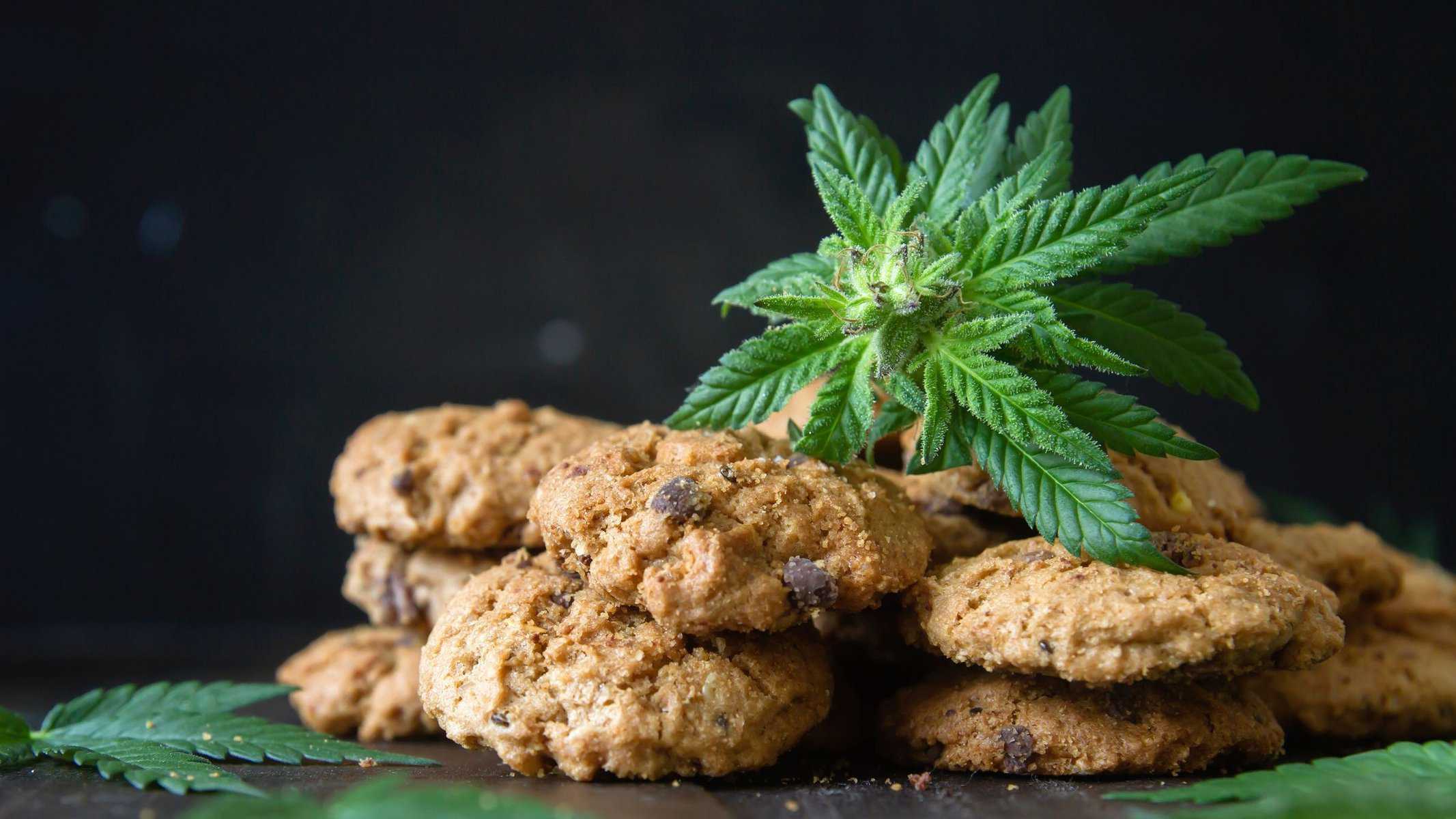 CBD Pumpkin Chocolate Chip Cookies