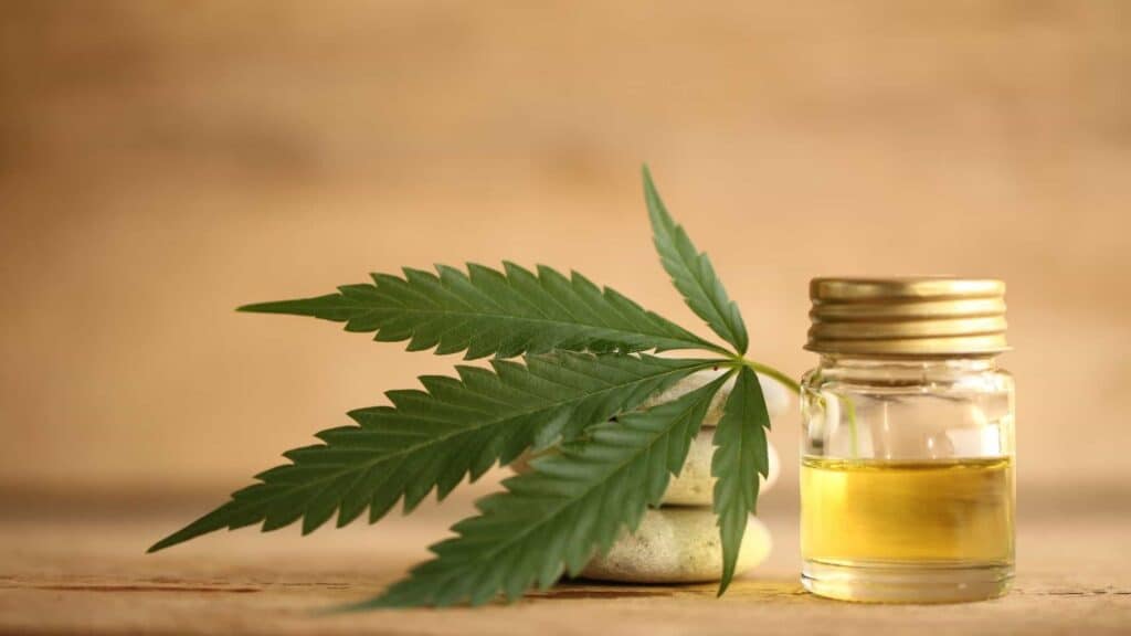 delta 10 vs CBD