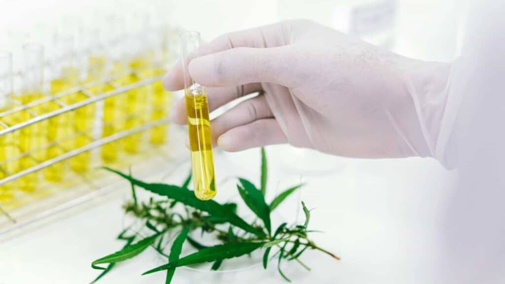 How Is Delta 9 THC Made?