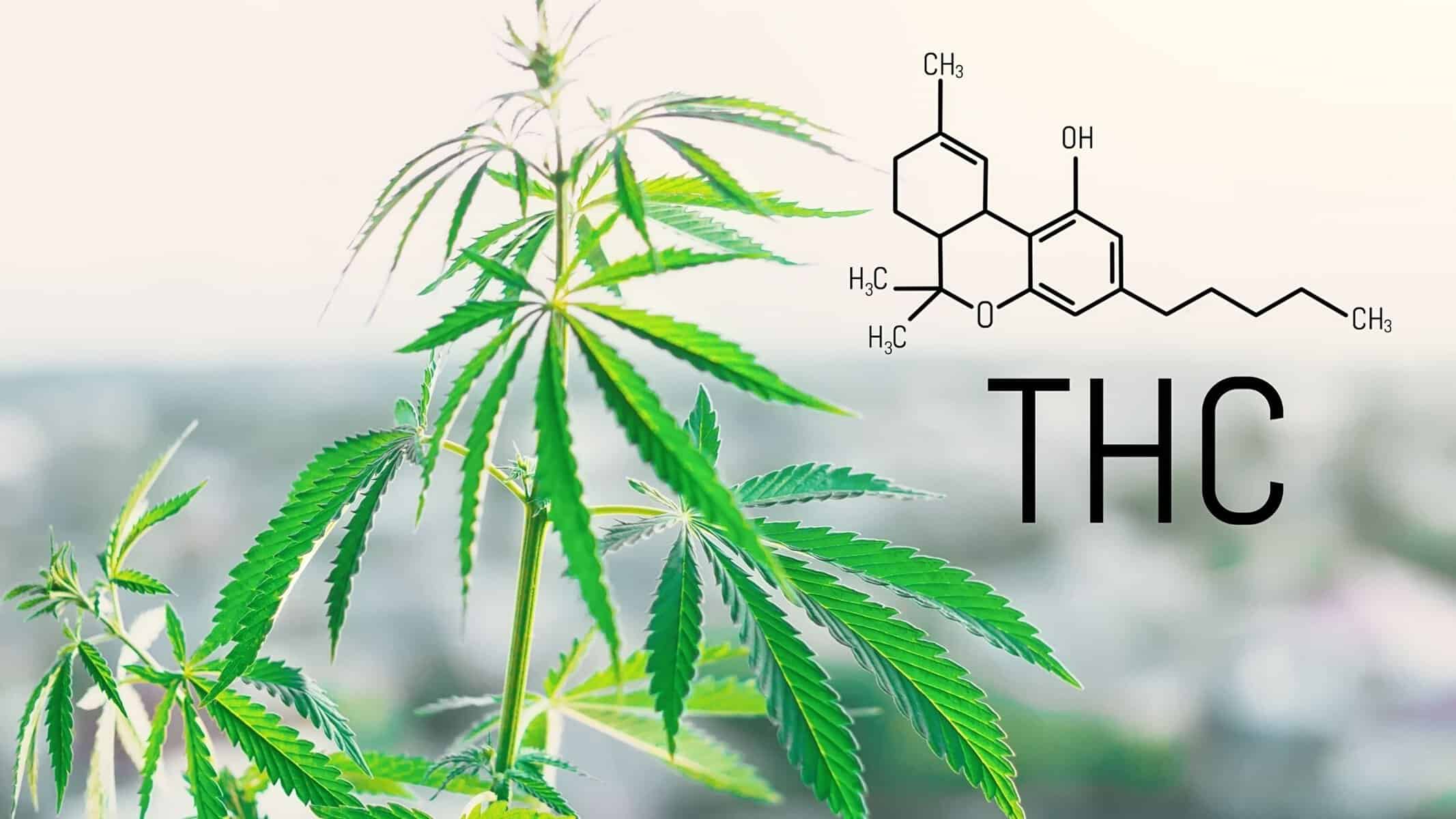 Delta 9 vs. delta 10