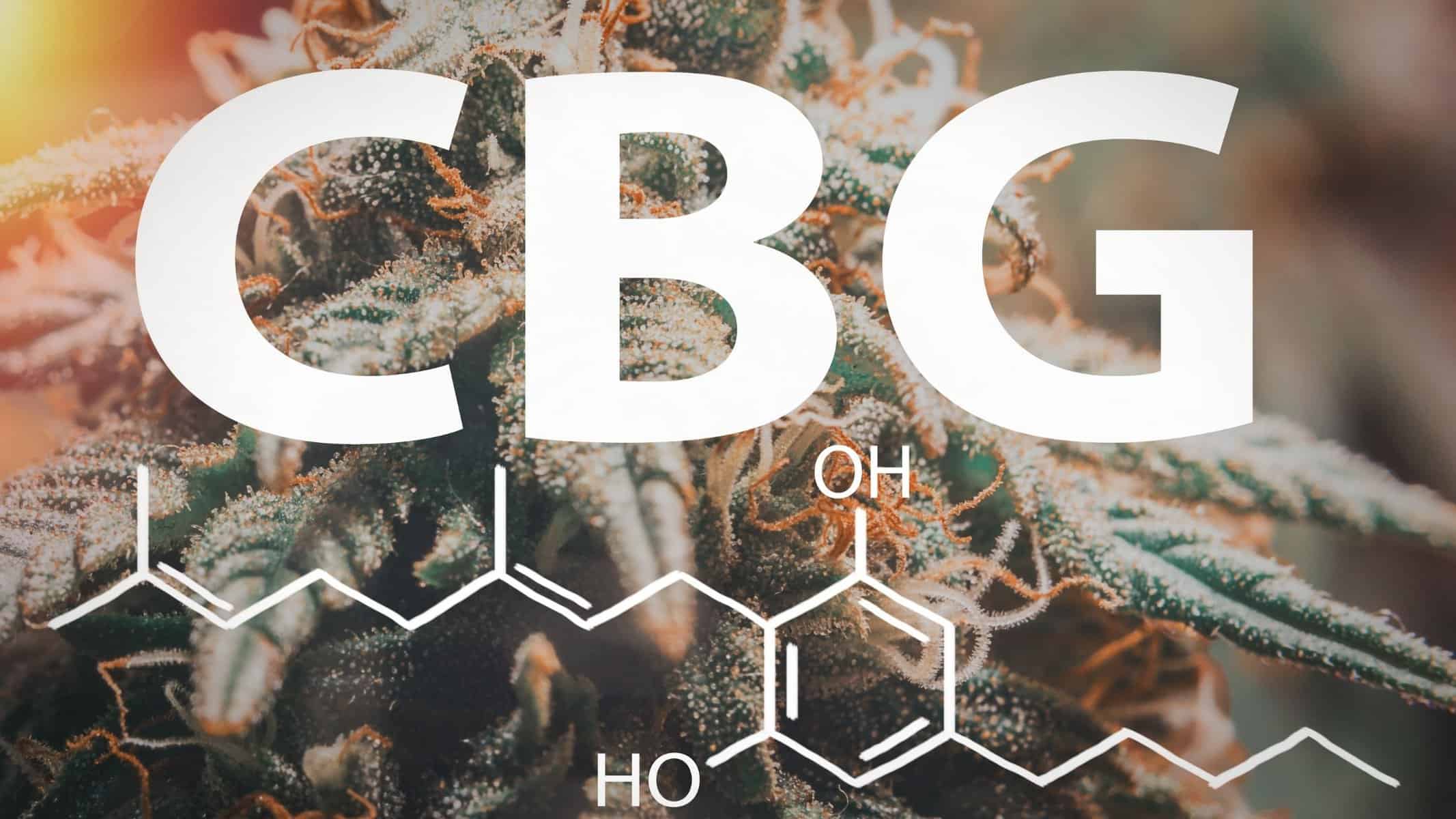 What's The Difference Between CBN and CBG