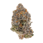 Sapphire Kush Strain