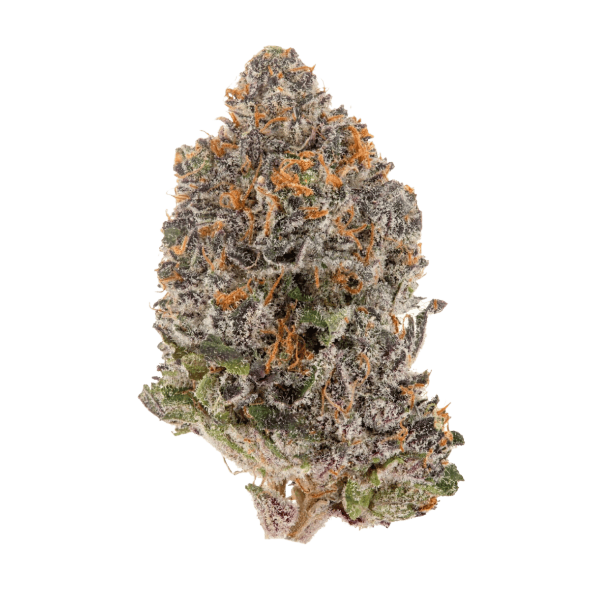 Sapphire Kush Strain