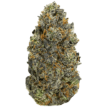 Platinum Purple Cookies strain of weed