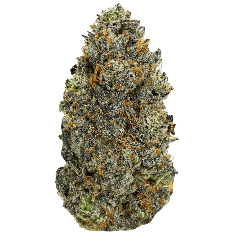 Platinum Purple Cookies strain of weed