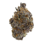 Tropicana Cookies strain of weed