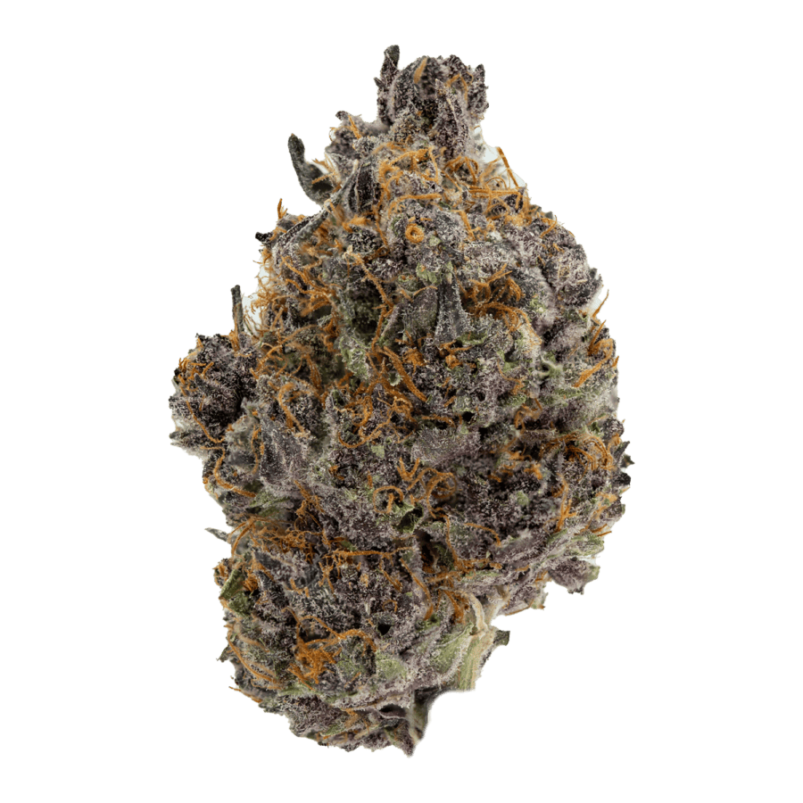 Tropicana Cookies strain of weed