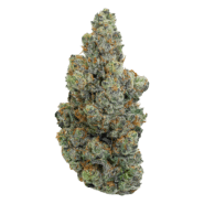 gary payton strain of weed