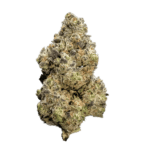 cali raisin strain