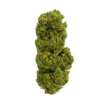 casino cookies strain