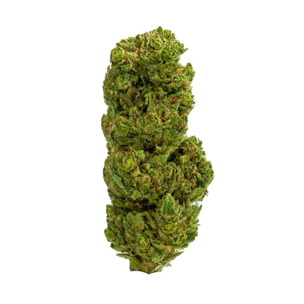 casino cookies strain