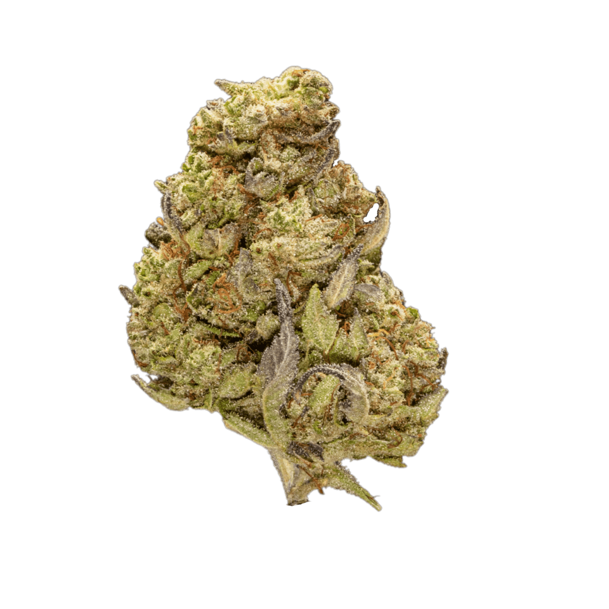 Pineapple Kush Strain of weed