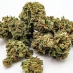 Black Runtz strain of weed