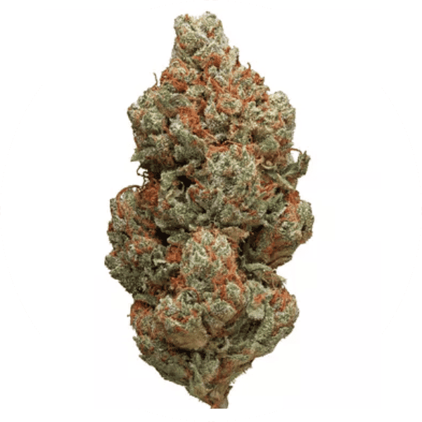 Platinum OG Kush strain