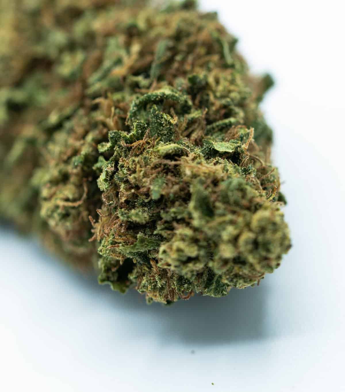 Apple Fritter - Image 3