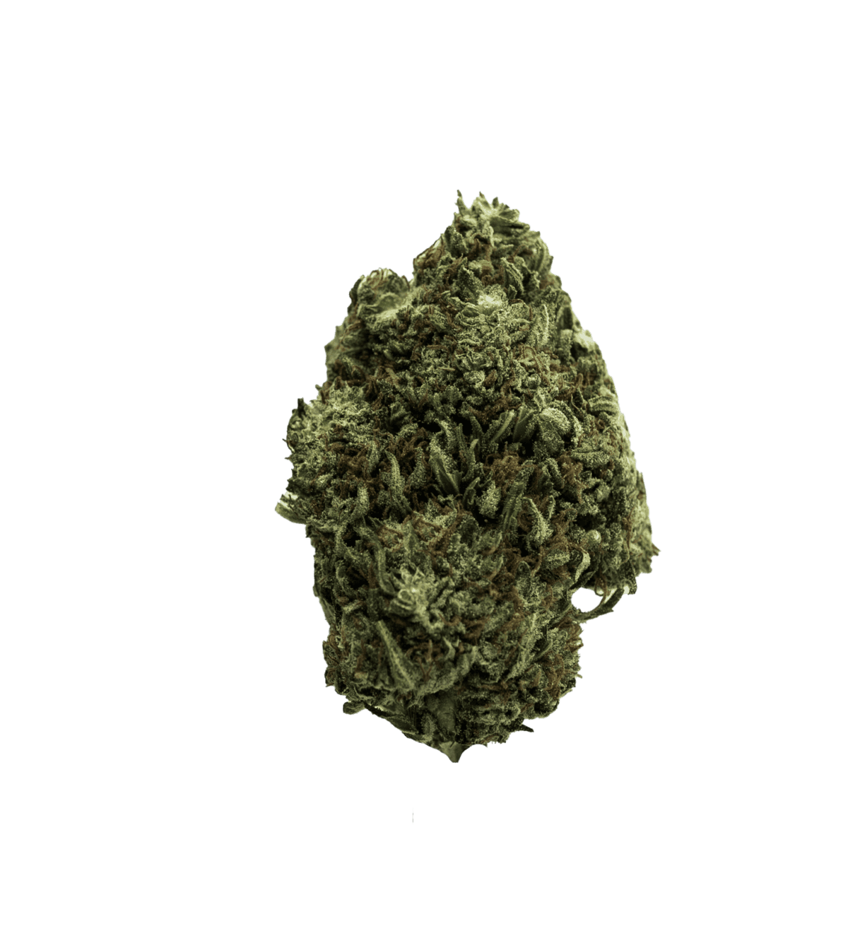 Apple Fritter - Image 2