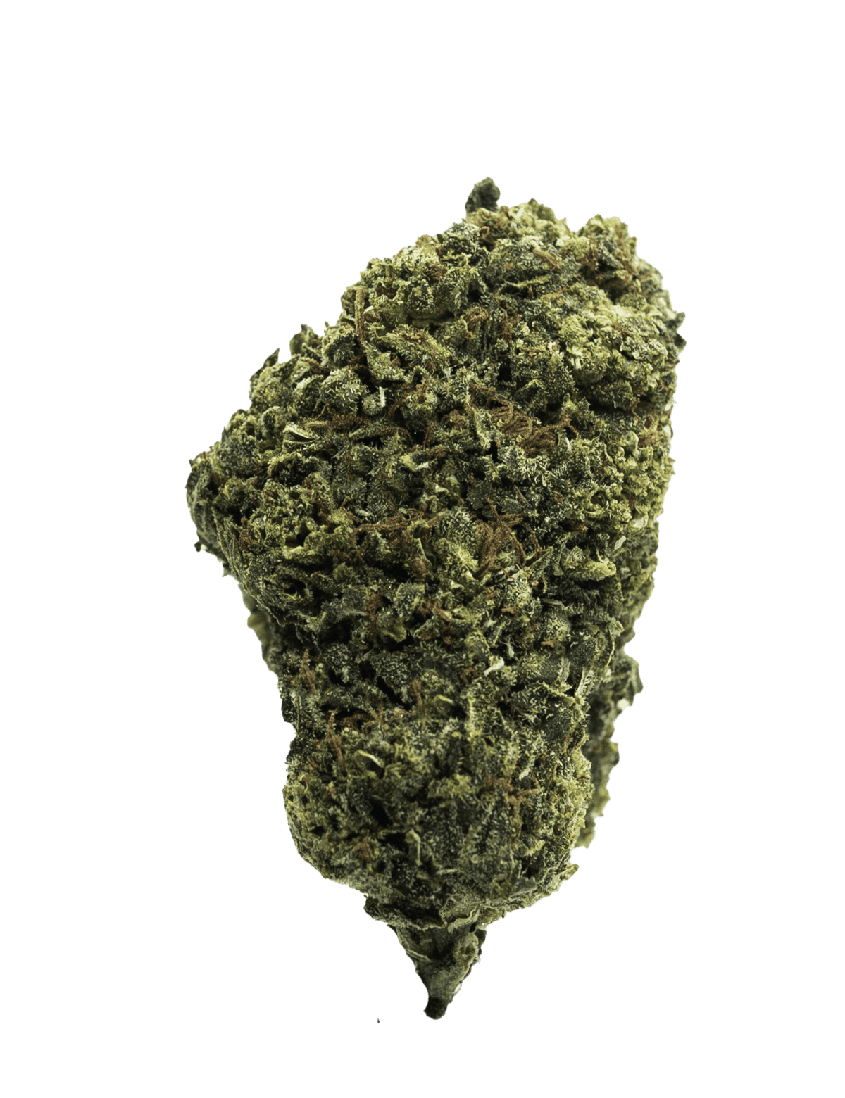frosted lime strain