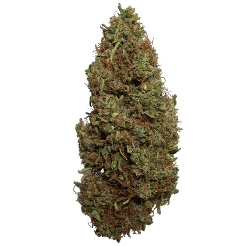 suver haze strain of weed