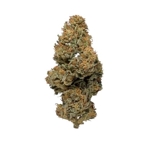 Sour-Space-Candy.jpg sour space candy strain