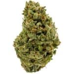 northern lights strain of weed