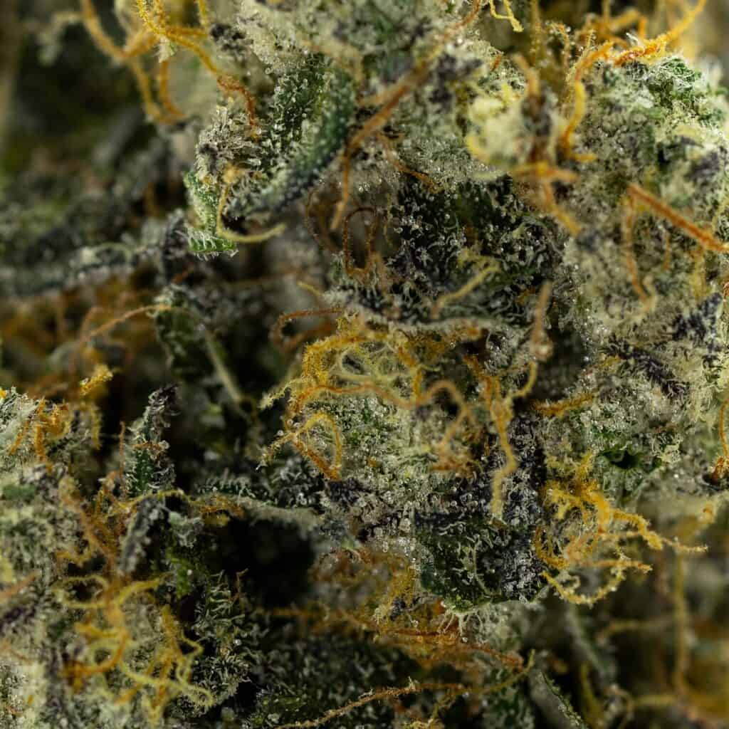 Weed Measurements Made Easy: A Beginner’s Guide