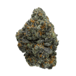 Purple Bugatti Strain