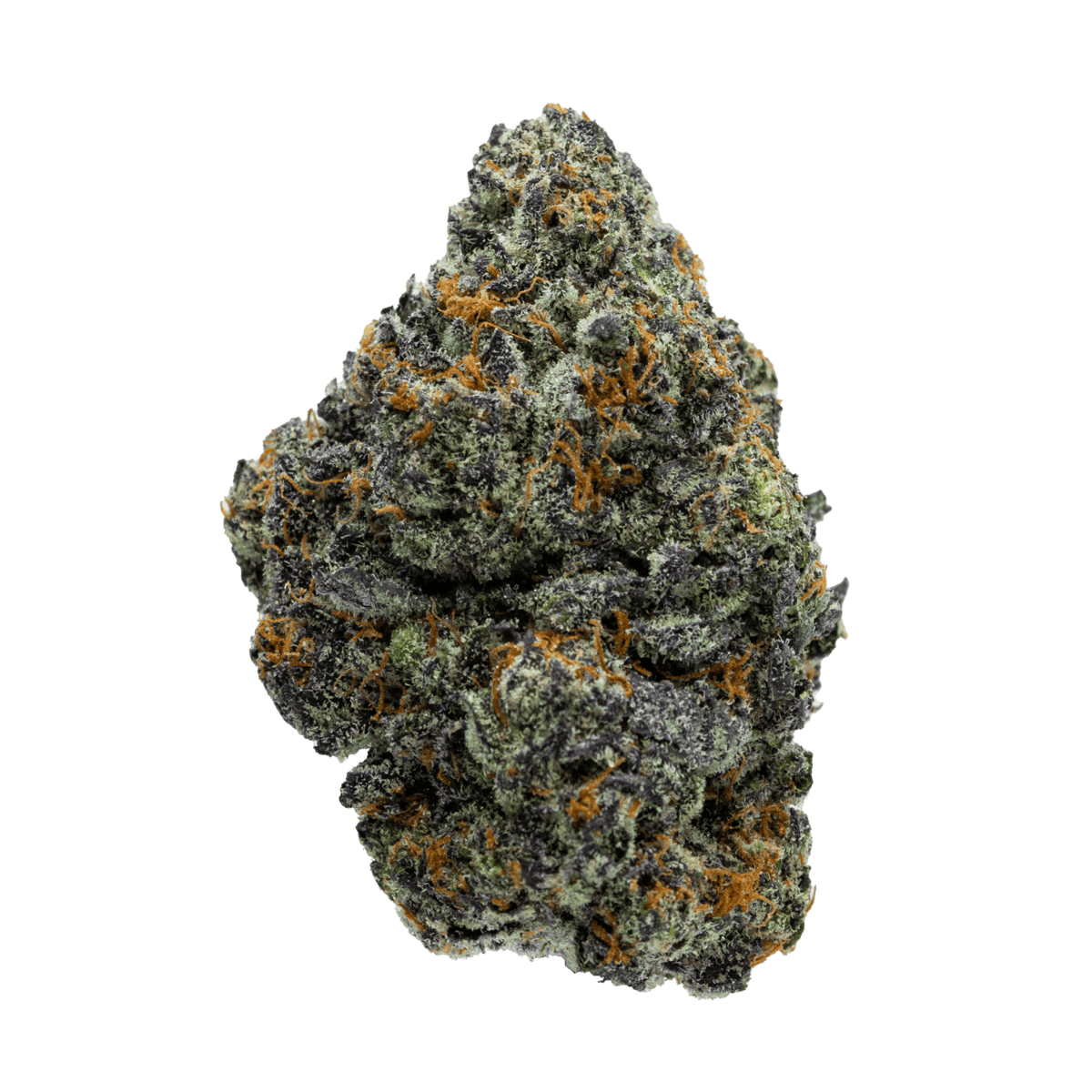 Purple Bugatti Strain