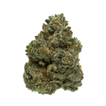 Gasfetti Strain