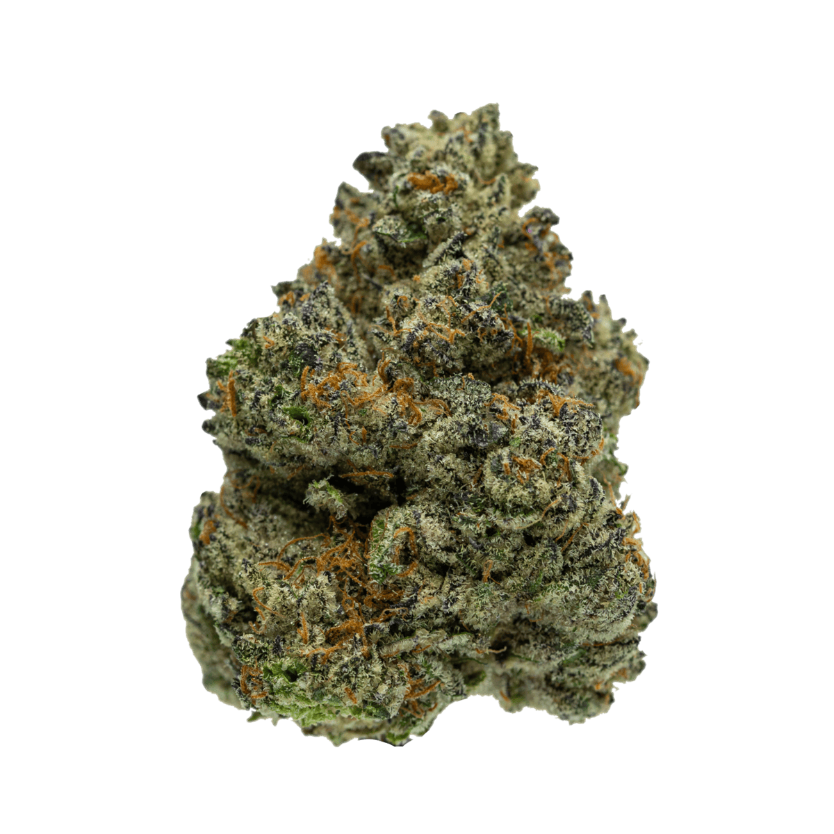 Gasfetti Strain