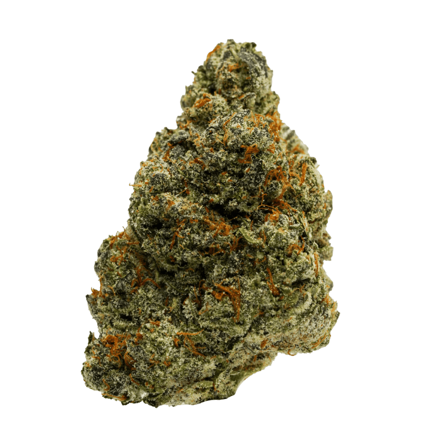 Oreo Blizzard Strain - WEB Oreo Blizzard Strain