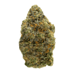 Raspberry Sherbet strain