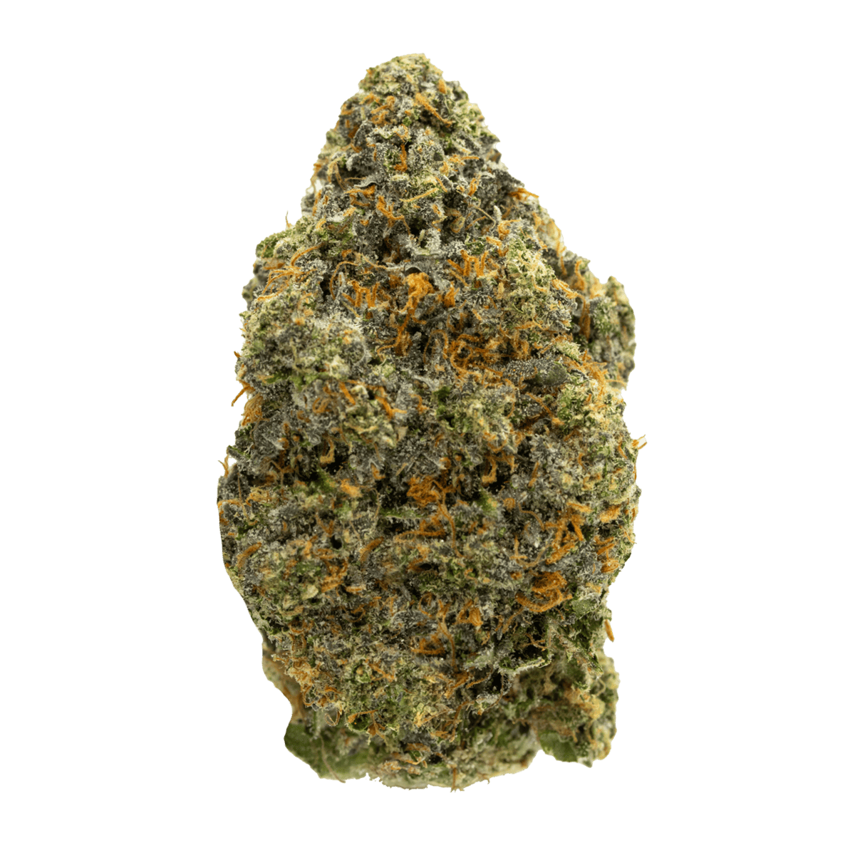 Raspberry Sherbet strain