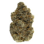 Bird Turd Strain