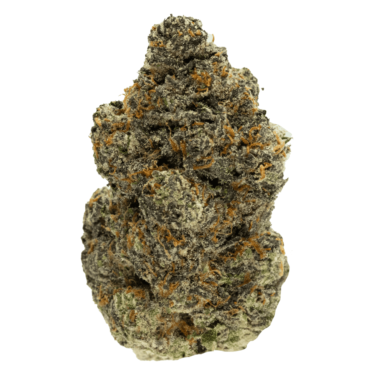 Bird Turd Strain