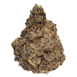 Grape Sherbert strain of weed
