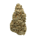 Tropical Thunder Strain