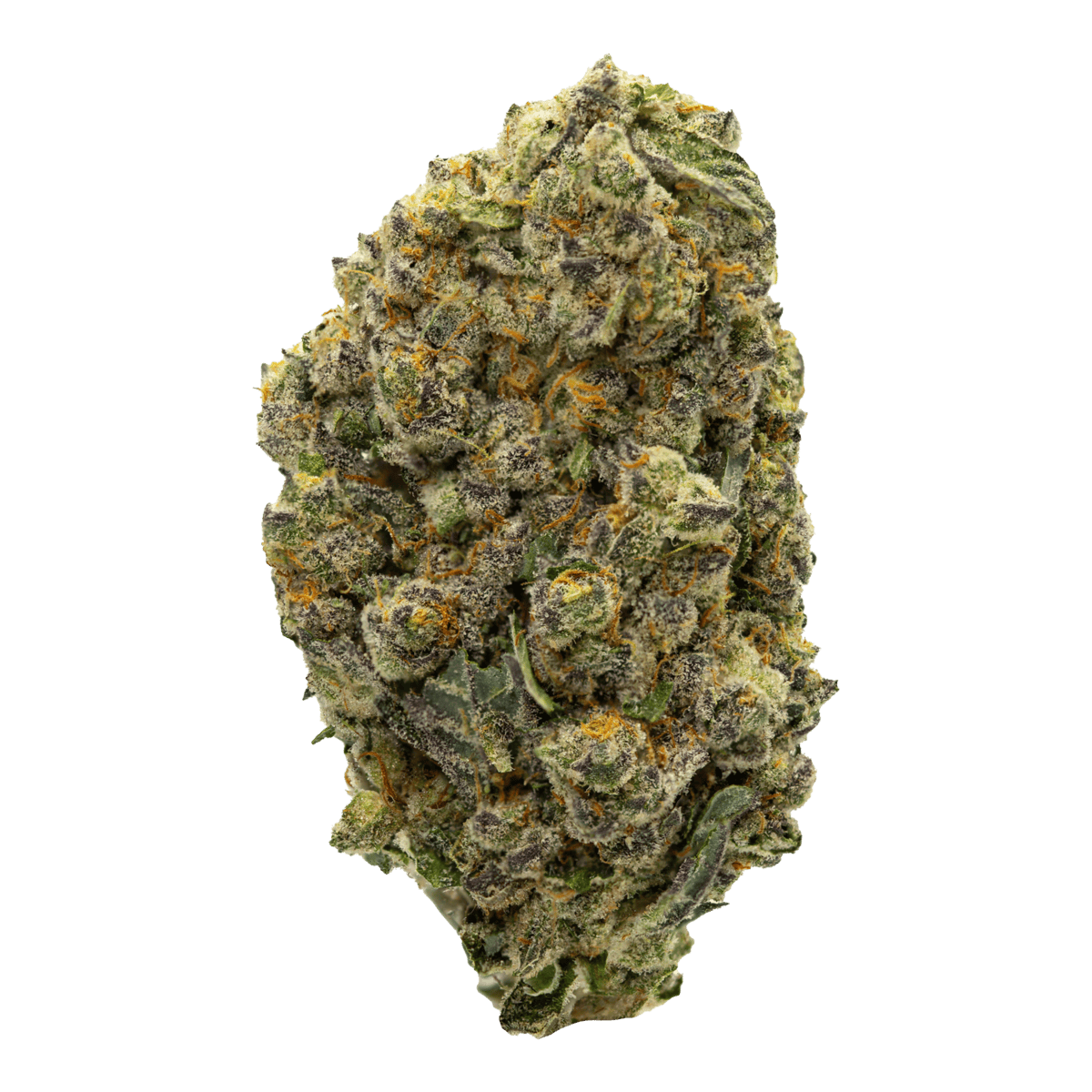 Jello Cake Strain
