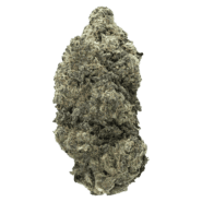 Hash Burger strain of weed