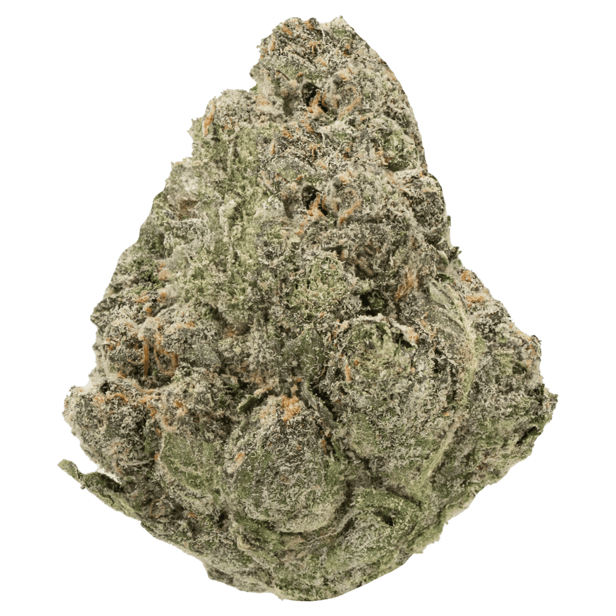 Gelato High Octane Strain