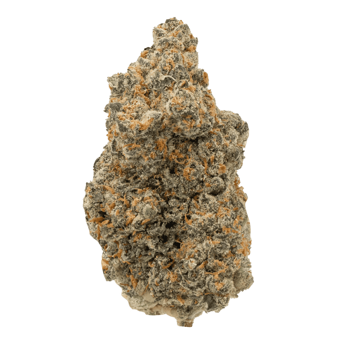 Black Cherry Gelato Strain