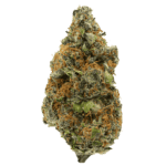 truffle burger strain