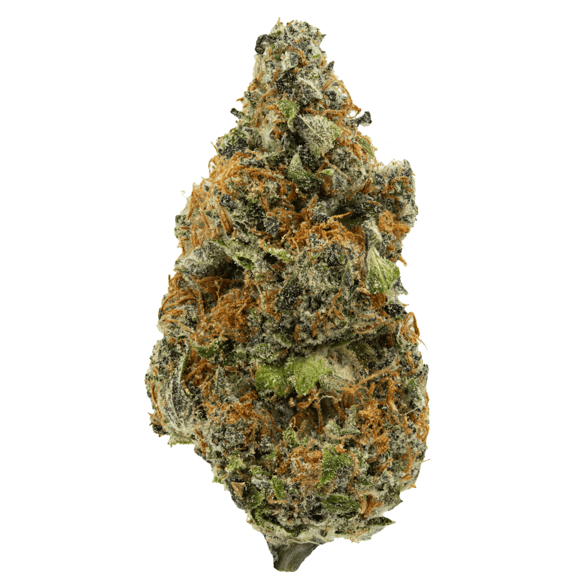 truffle burger strain
