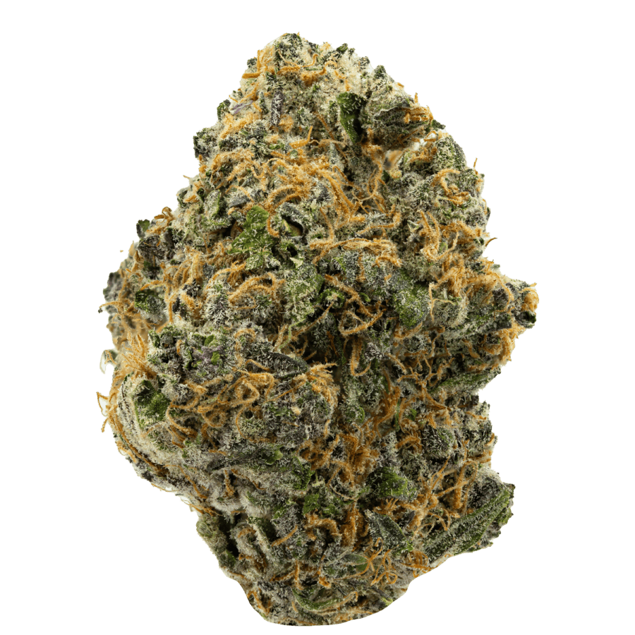 Divine Banana Strain - WEB divine banana weed strain
