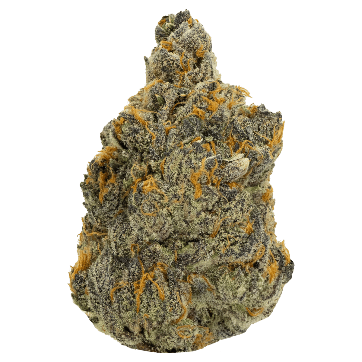 Rulayy Runtz Strain