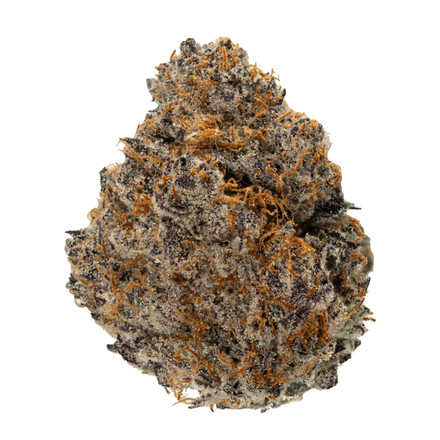 Modified Grapes Strain - WEB Modified Grapes Strain