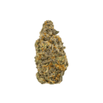 Guava Strain