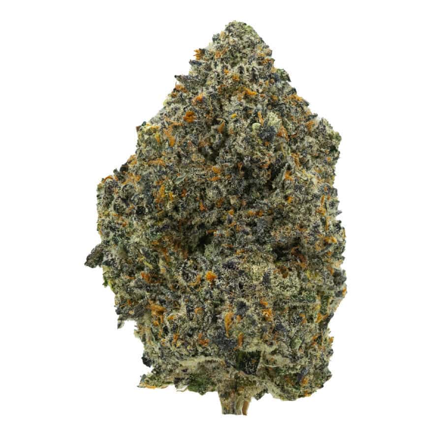 Purple-Runtz-Strain---WEB Purple Runtz Strain